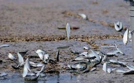 23 hiện tượng thiên nhiên kỳ bí thách thức khoa học